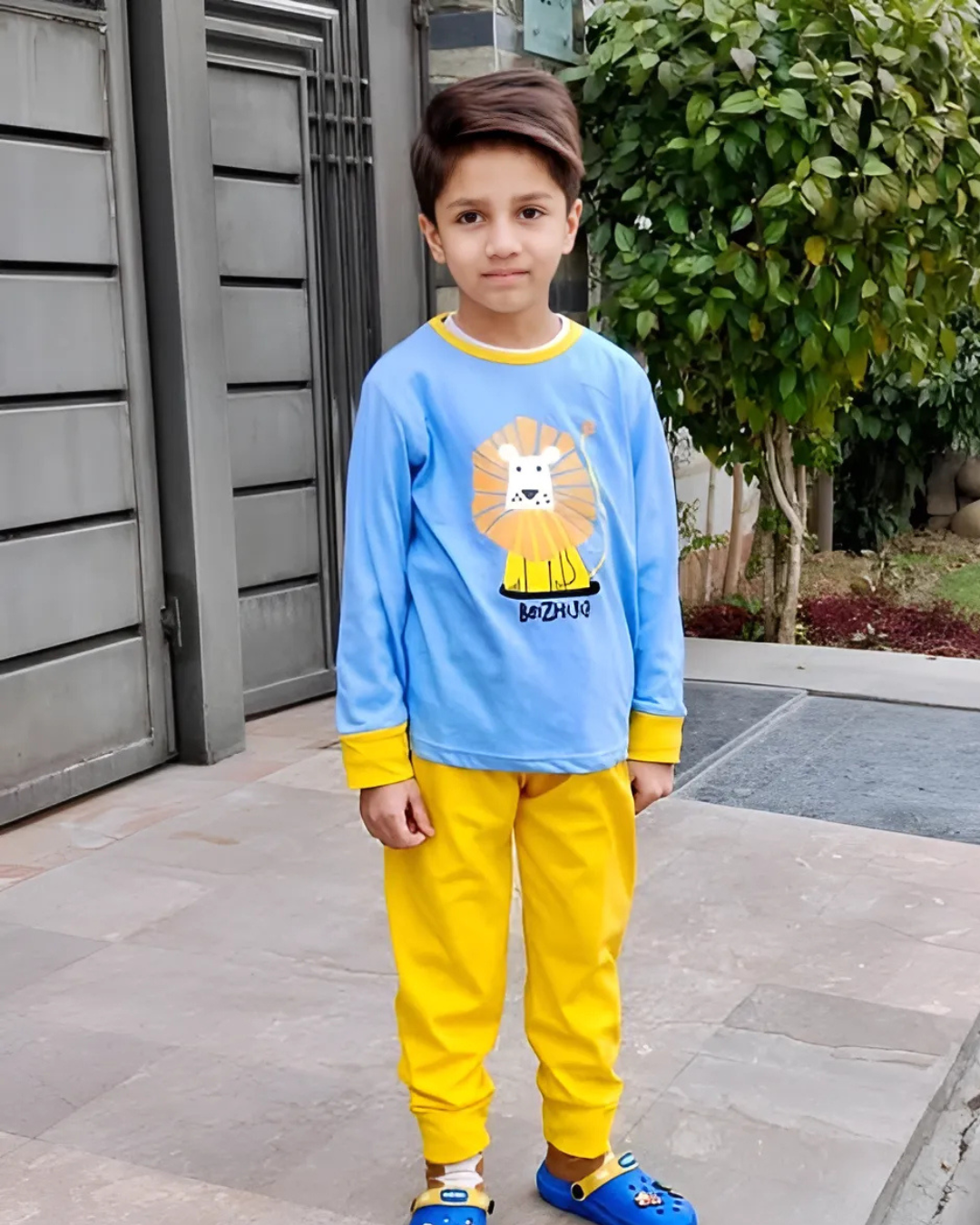 Lion Printed Kids Wear (Each)