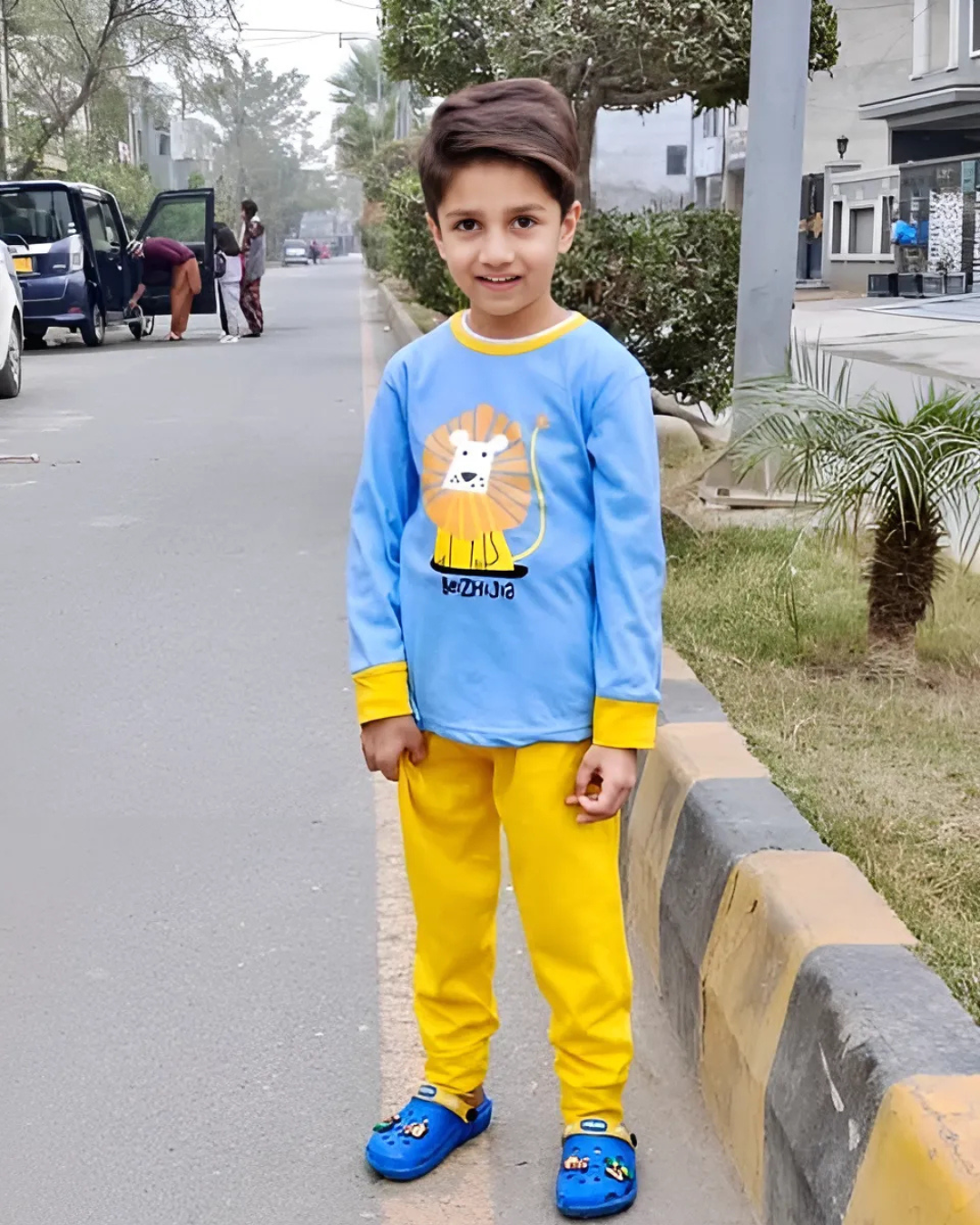 Lion Printed Kids Wear (Each)