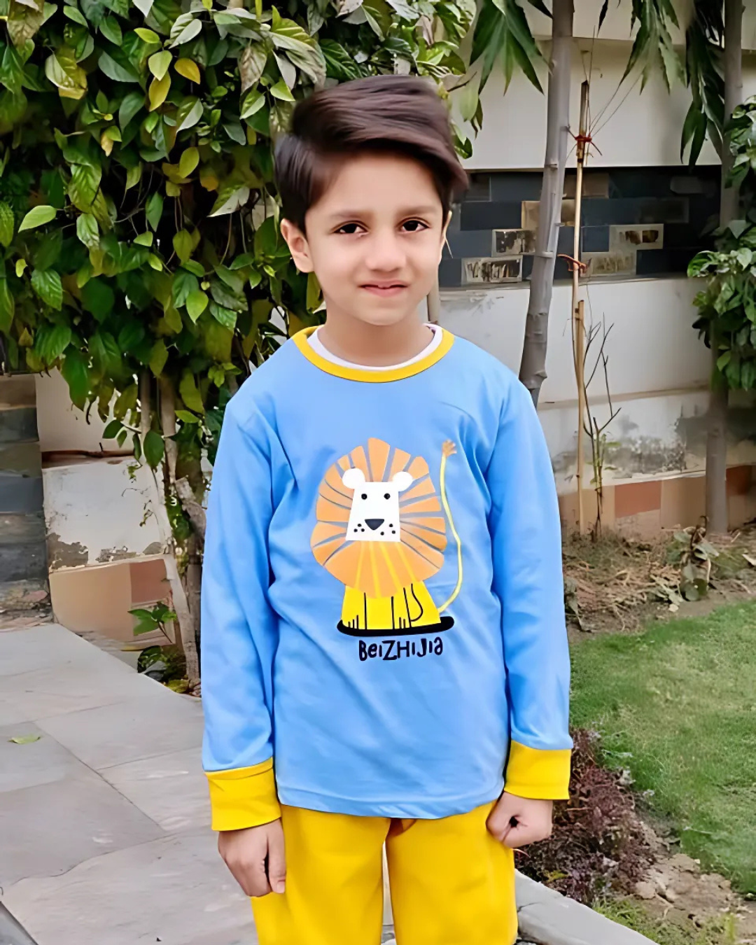 Lion Printed Kids Wear (Each)