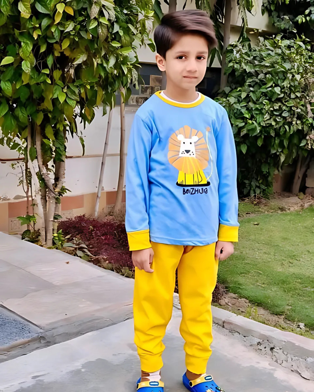 Lion Printed Kids Wear (Each)