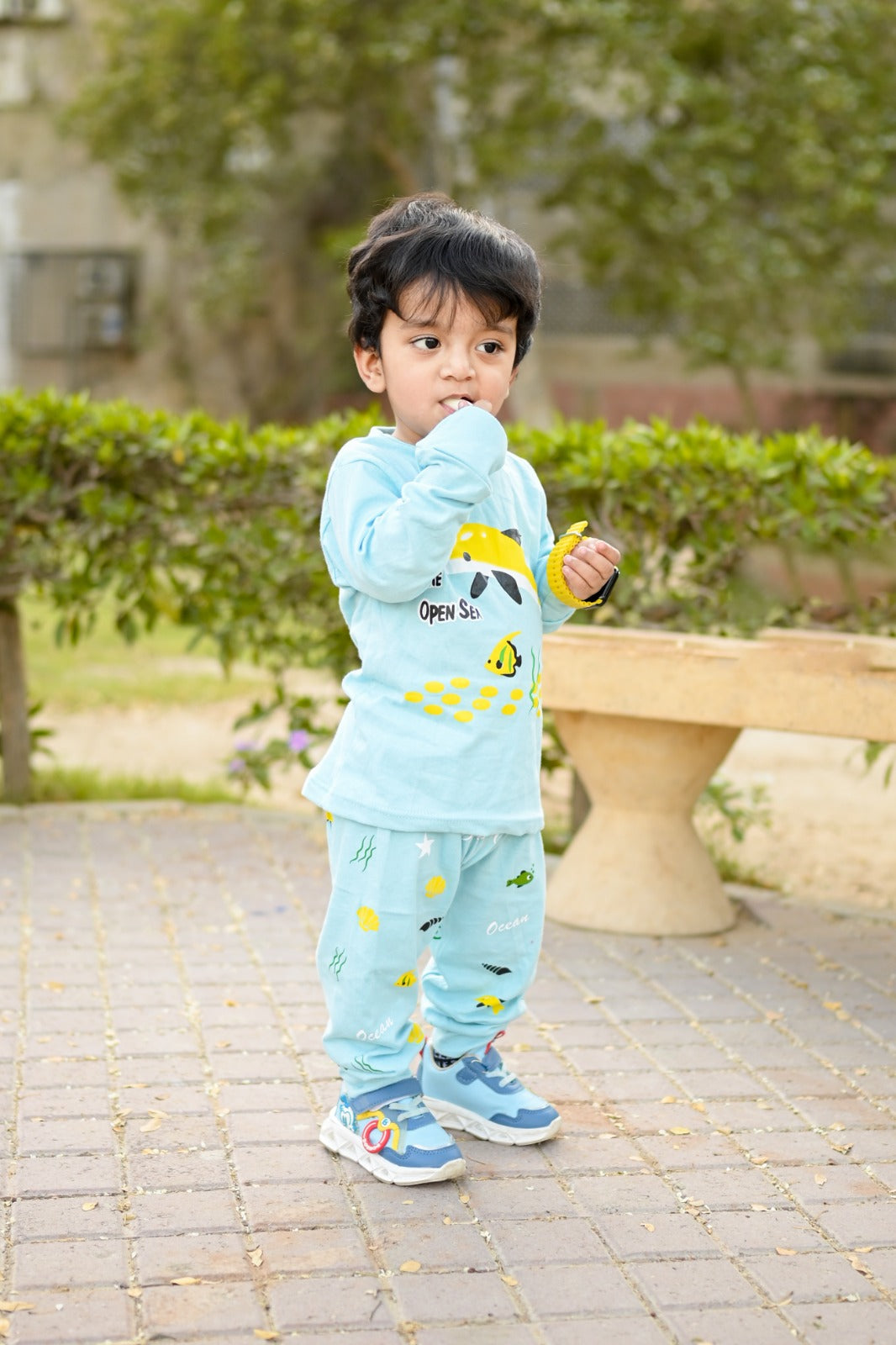 Dolphin Printed Kids Wear (Each)